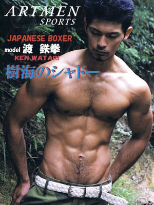 Japanese Boxer