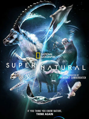 超/自然第一季海报