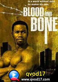 血与骨|Blood and Bone 2009海报