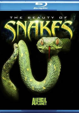 动物星球:蛇之惊艳奇观海报