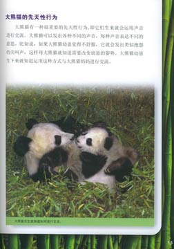 (国家地理)大熊猫海报