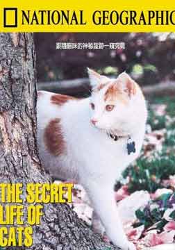 (国家地理)猫咪的秘密日记海报