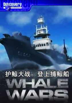 (Discovery)护鲸大战：登上捕鲸船海报