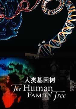 (国家地理)人类基因树海报