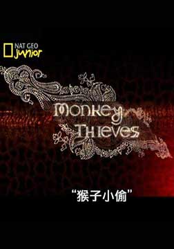 (国家地理)猴子小偷二：寻找新基地海报