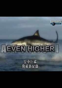 (Discovery)空中巨鲨：飞鲨新纪录海报