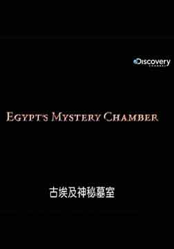 (探索)古埃及神秘墓室海报
