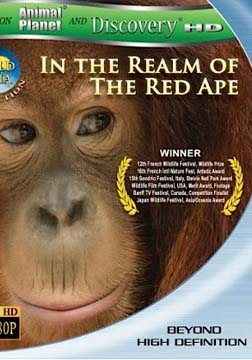 (Discovery)狂野亚洲：赤猿的领地(BD)海报