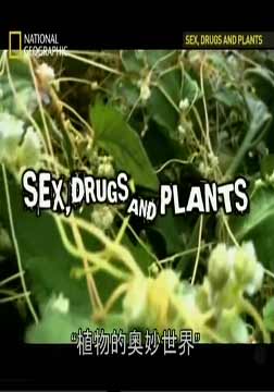 植物的奥妙世界海报