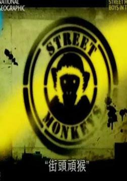 (国家地理)街头顽猴海报
