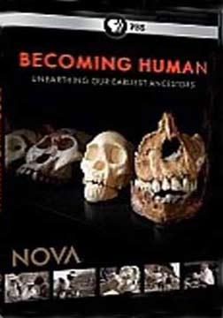PBS新星：人类起源海报