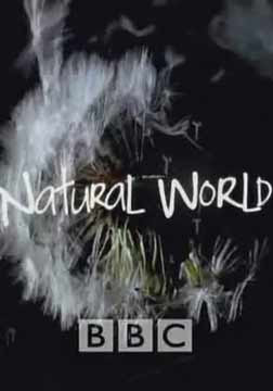 (BBC)自然世界海报