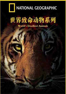 (国家地理)致命动物：群体出击海报