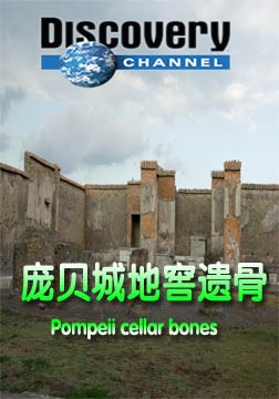 (探索频道)庞贝城地窖遗骨海报