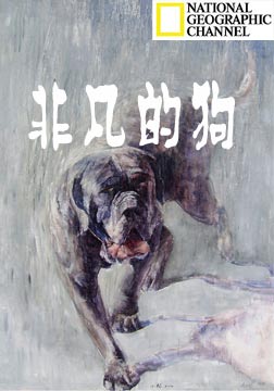 (国家地理)非凡的狗儿海报