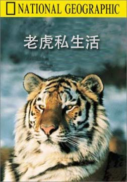 (国家地理)老虎私生活海报