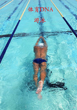 体育DNA：游泳海报