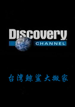 (探索频道)超级大机具：台湾鲸鲨大搬家海报